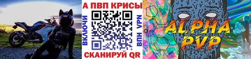 А ПВП СК КРИС  Туапсе 