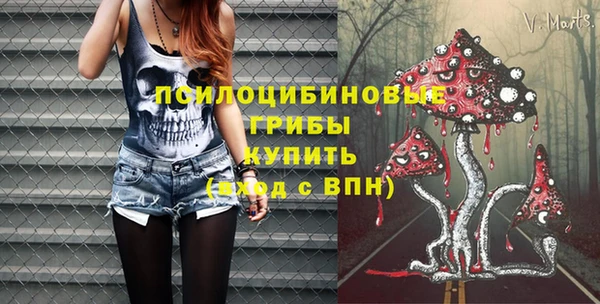 spice Касимов