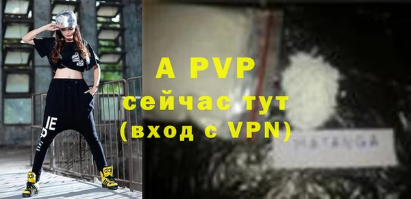 крисы Козельск
