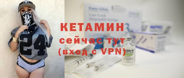 крисы Козельск