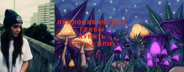 МДПВ Медногорск