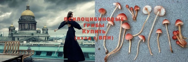 альфа пвп Карталы