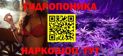 Альфа ПВП Свободный