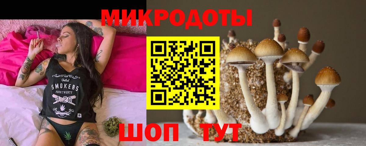 Галлюциногенные грибы Psilocybe Туапсе